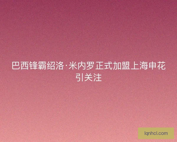巴西锋霸绍洛·米内罗正式加盟上海申花引关注